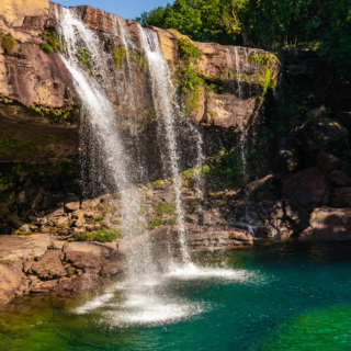 6 Days Assam Unplugged – A Backpacking Journey